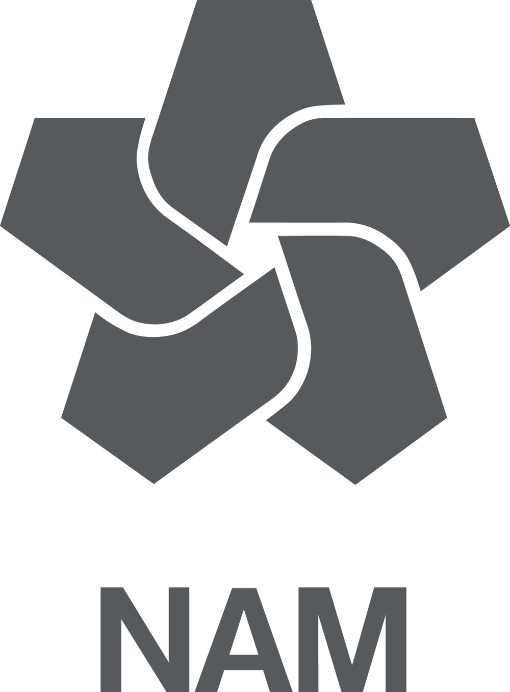 Nederlandse Aardolie Maatschappij